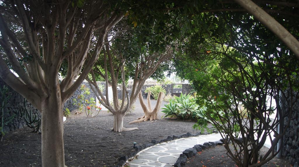 Finca La Rubina Mozaga 外观 照片